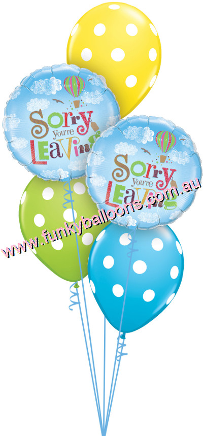 (image for) Sorry You're Leaving Sky Dots Bouquet - Click Image to Close